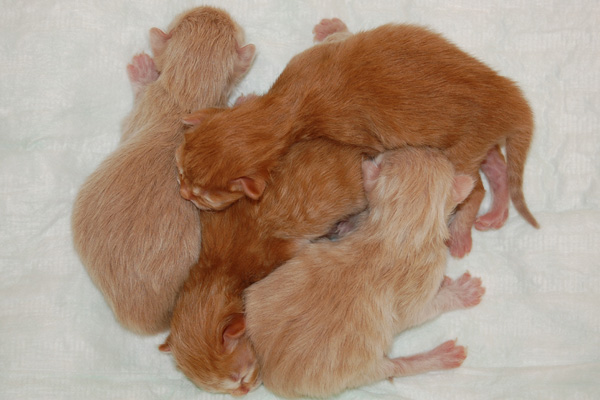 gerade auf der Welt.jpg